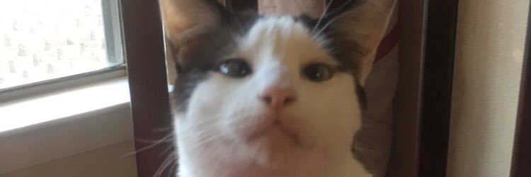 MissaMolina's profile banner image