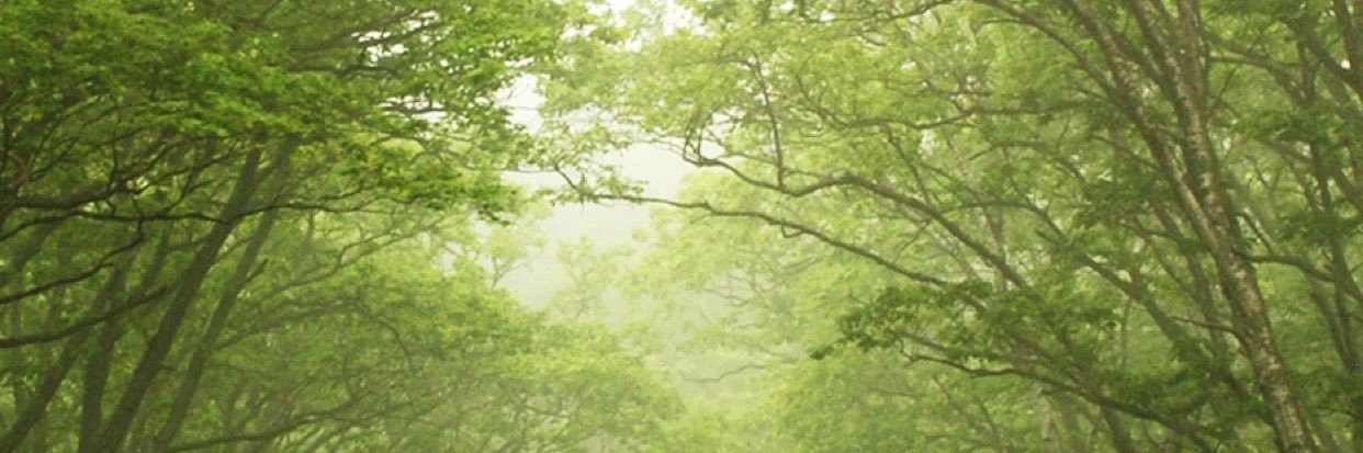 PadmaLC's profile banner image