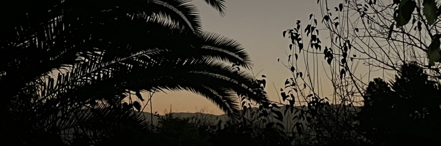 vickyavellaned's profile banner image