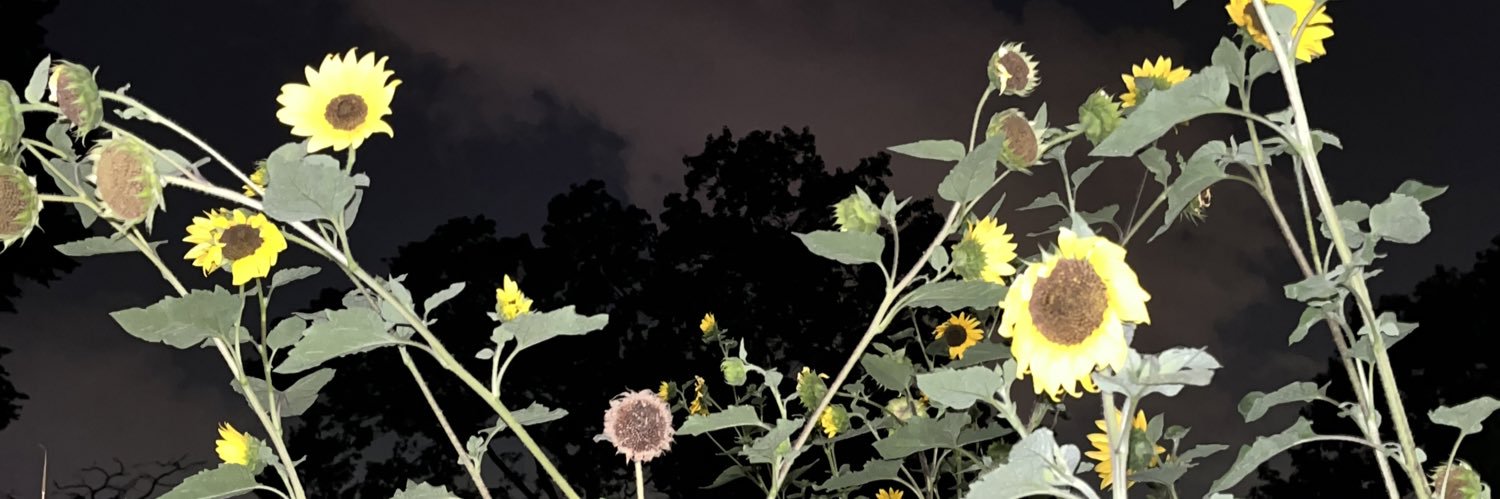Zoeeoeoe banner