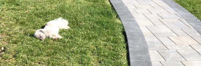 Cole_Kunz's profile banner image