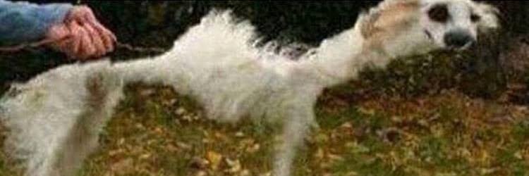 ChandlerMichard's profile banner image