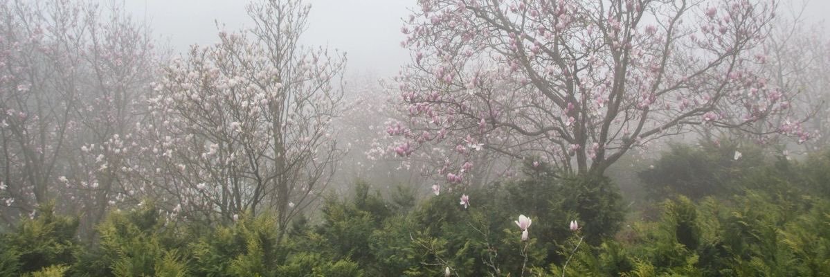 sailorpunkkk's profile banner image