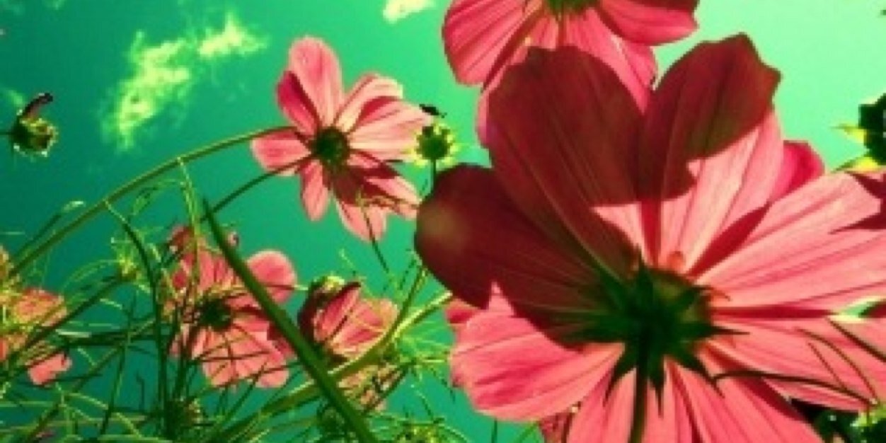 nattyscrib's profile banner image