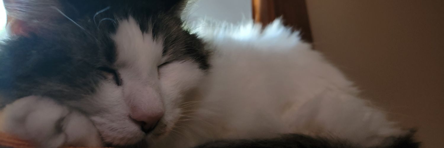 GoofyPo's profile banner image