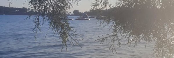 MiaAn91 Profile Banner