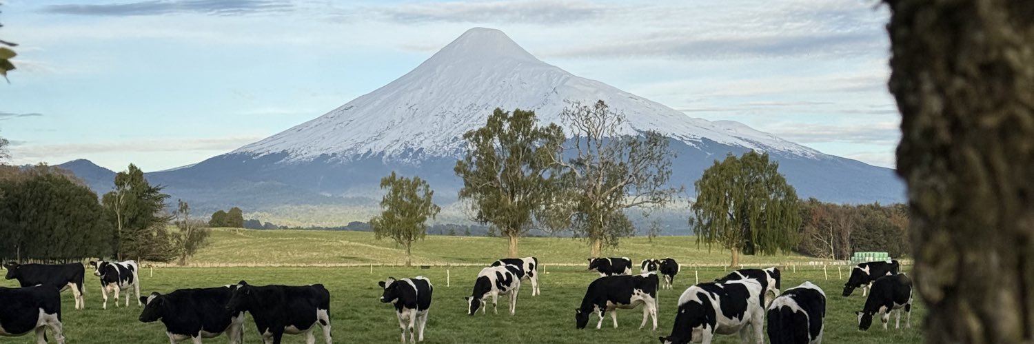 JorgeKauffmann's profile banner image