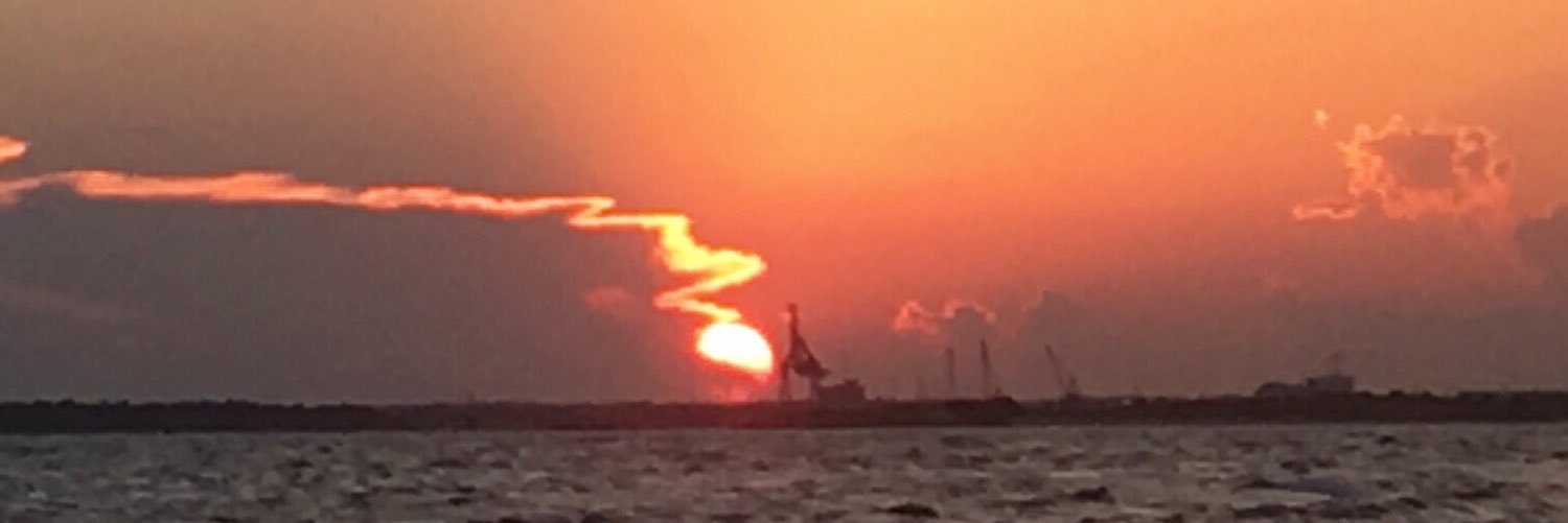 Abby Lynn Edie banner