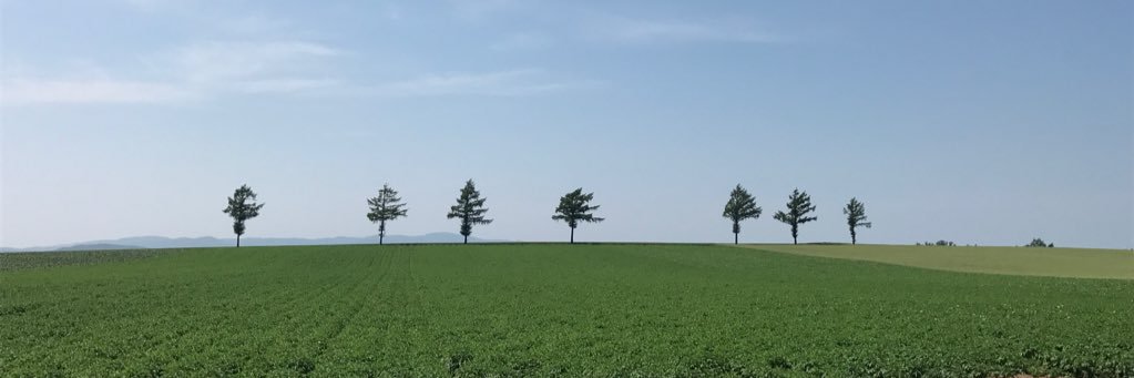 tktkkghn's profile banner image