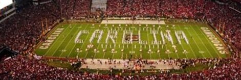 Matt Bruno banner
