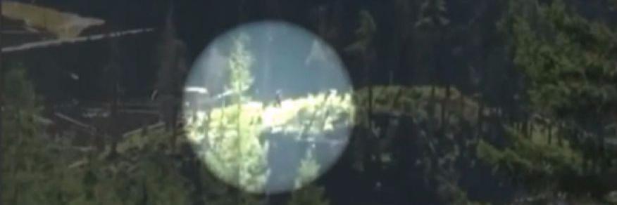 SkunkApeKiller banner