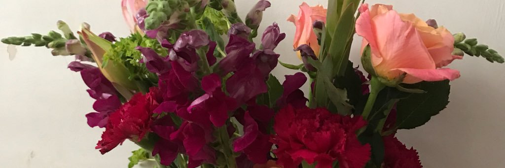 RachelEllieG's profile banner image