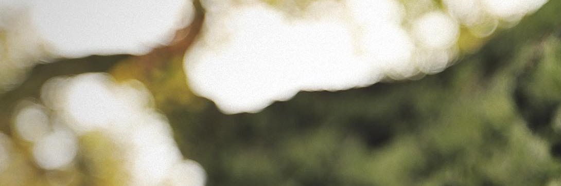 GApplequist's profile banner image