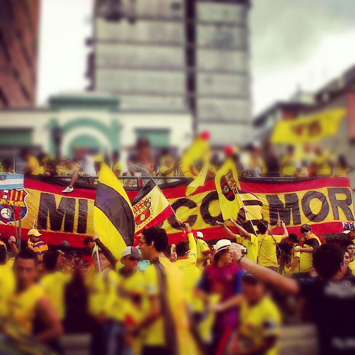 Ricardo Cárdenas banner
