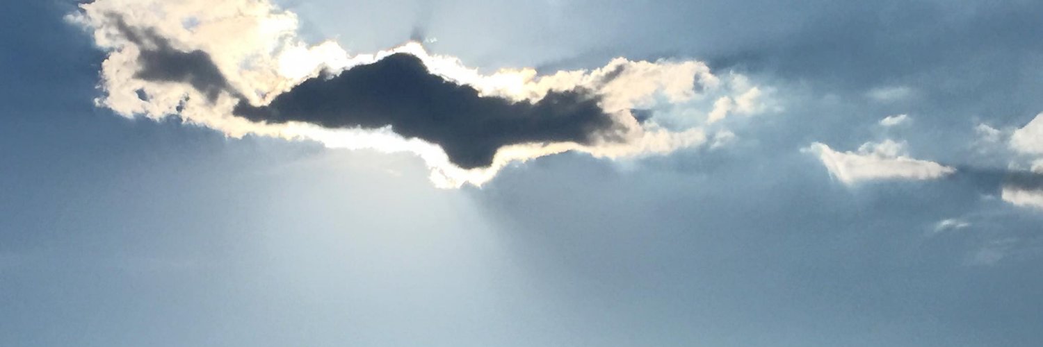 Emi(恵美)_KY🌐💚✨🙏🏻💪🏻@🇺🇸🇯🇵 日日是好日 banner