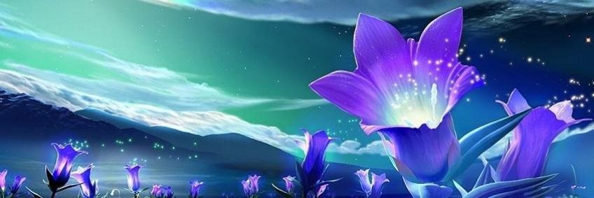 AVG18's profile banner image