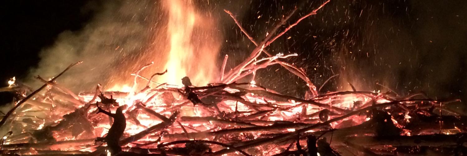 Steven P. Wade banner