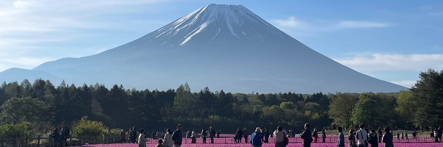 ノジサン banner
