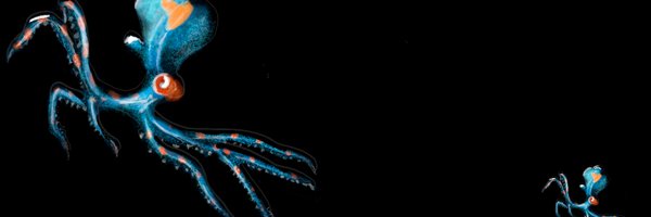 Elisanluc Profile Banner