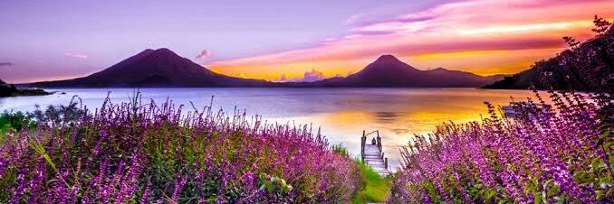 Farhan_Discover's profile banner image
