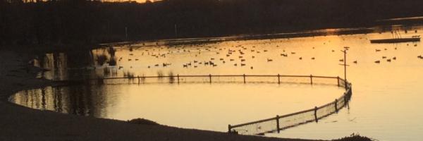 JaneStanton1 Profile Banner