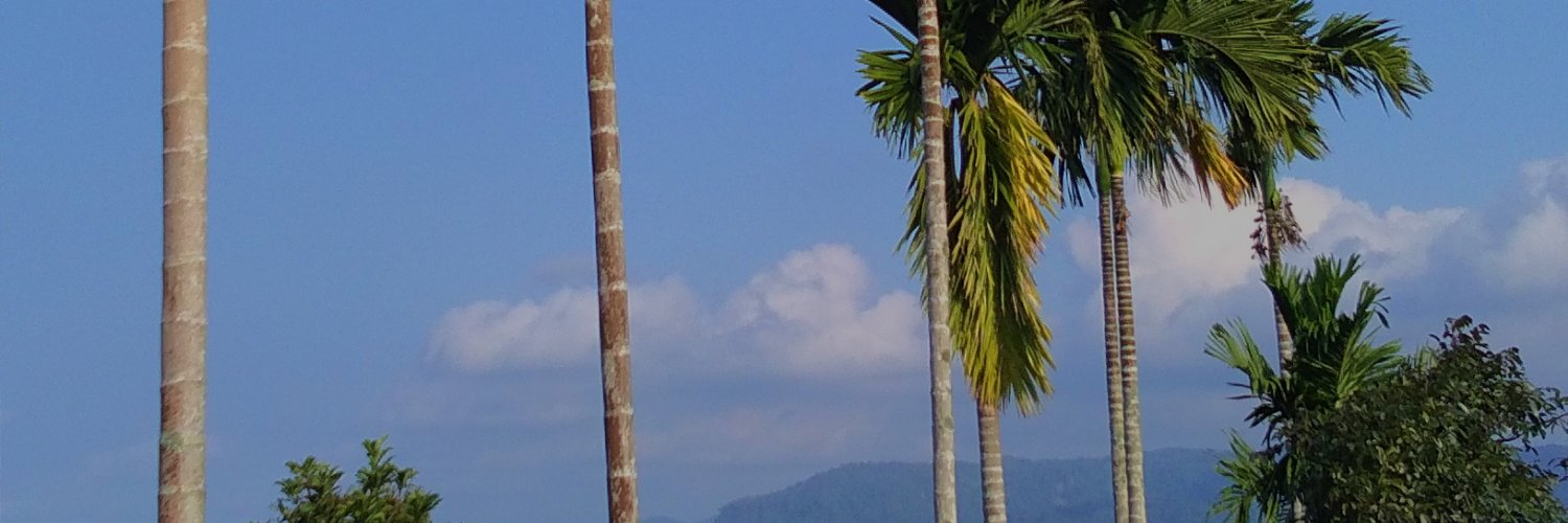 ciraru22's profile banner image