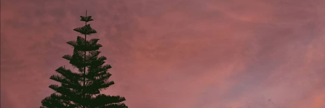 anasolder's profile banner image