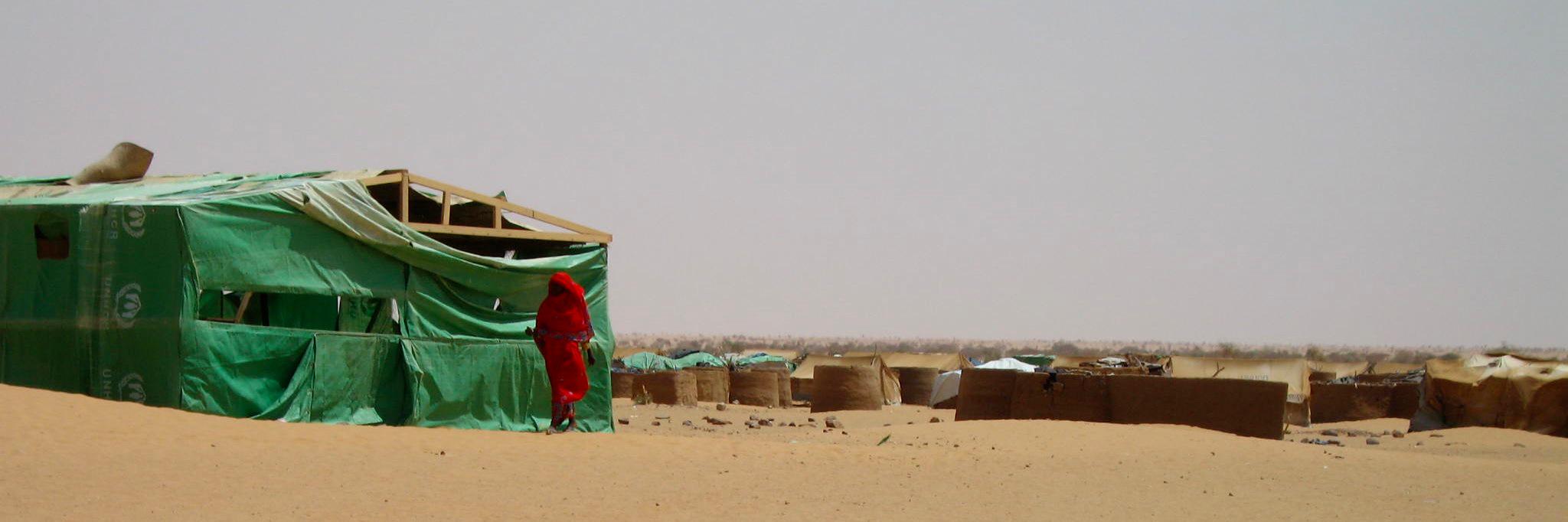 Jonathan Foreman banner