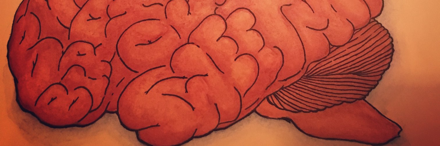 laurrborrell's profile banner image
