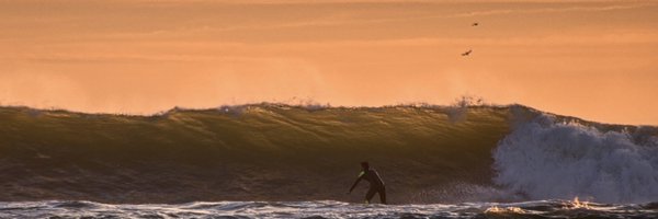 nicolasrougier Profile Banner