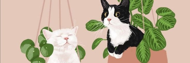 j_herle05's profile banner image