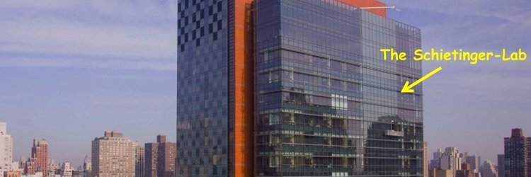 The SchietiLab banner