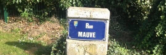 MauveDecobert's profile banner image