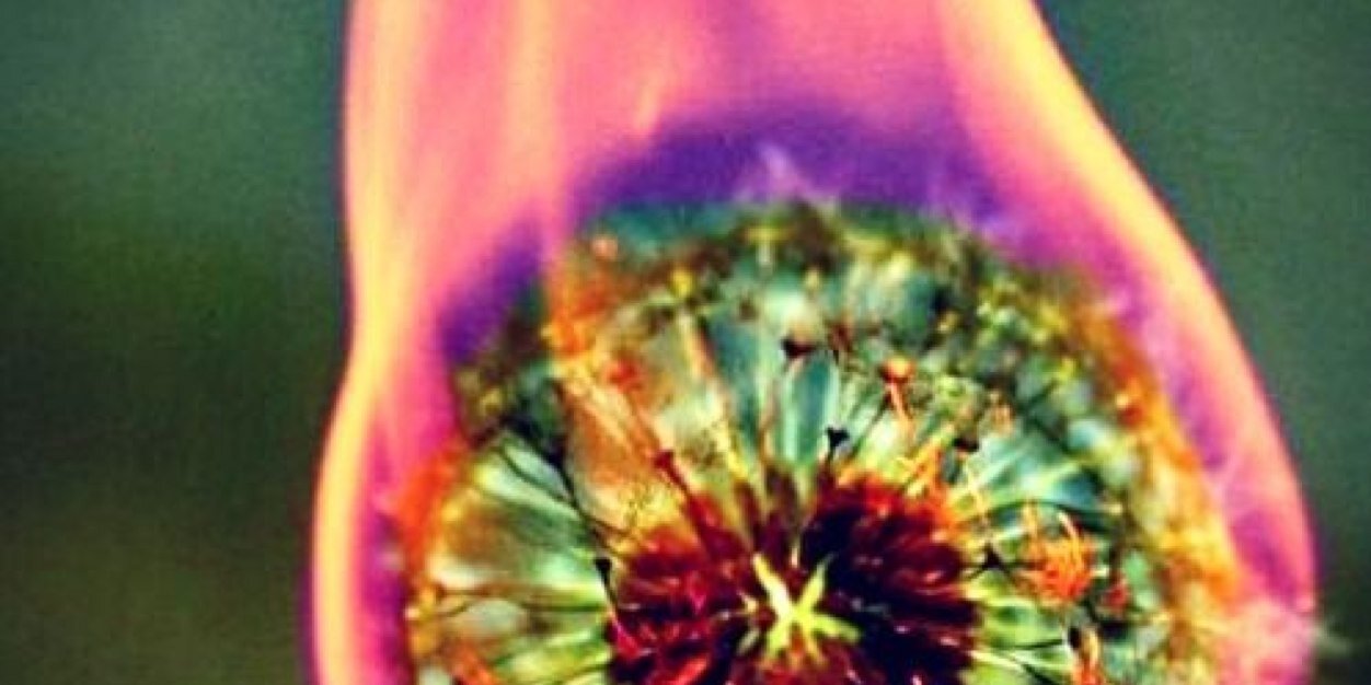 jessmoullet's profile banner image