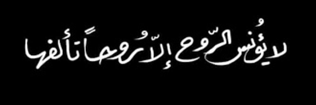 _ღ FS ღ_ 🇦🇪 banner