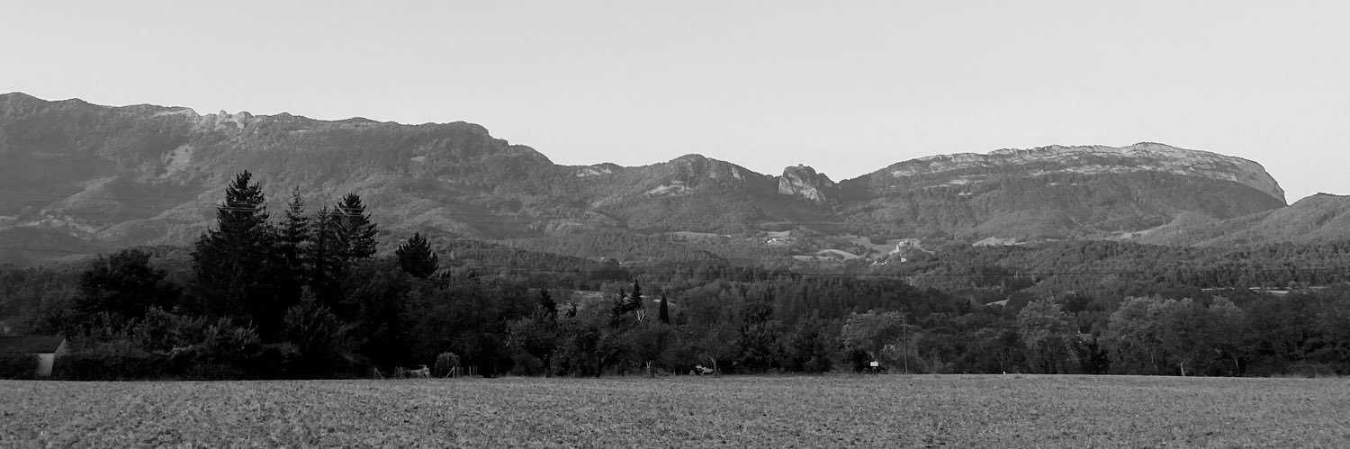 Judith Soundy banner