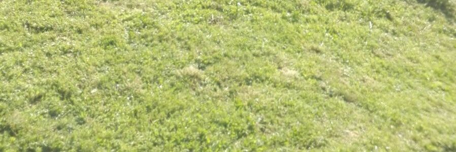 ejco35's profile banner image