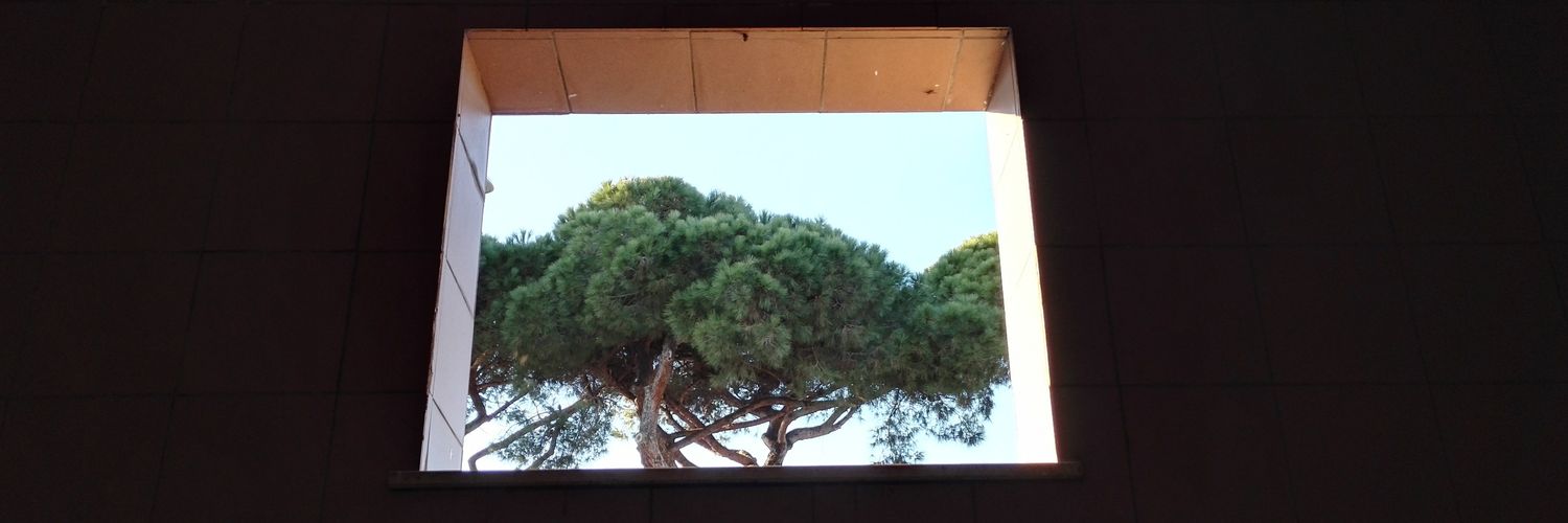 Лаури кристиан banner