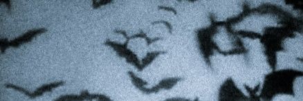 arsonsinz's profile banner image