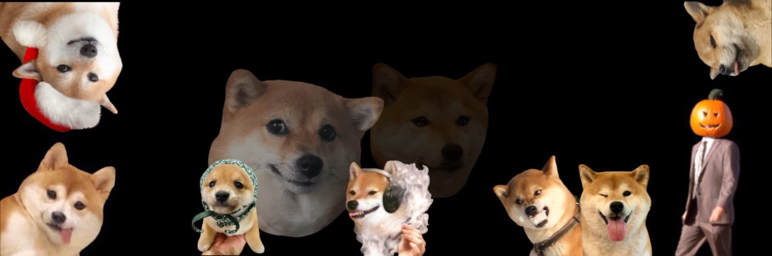 alexacogaa's profile banner image