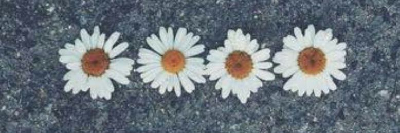 Pam_Montiel's profile banner image
