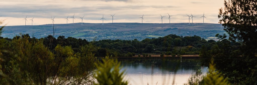 Rebecca Równy banner