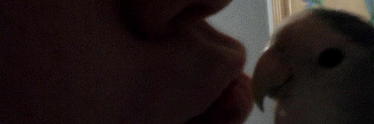 violee2's profile banner image