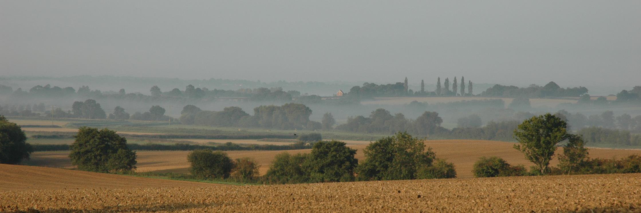 morghewpark's profile banner image