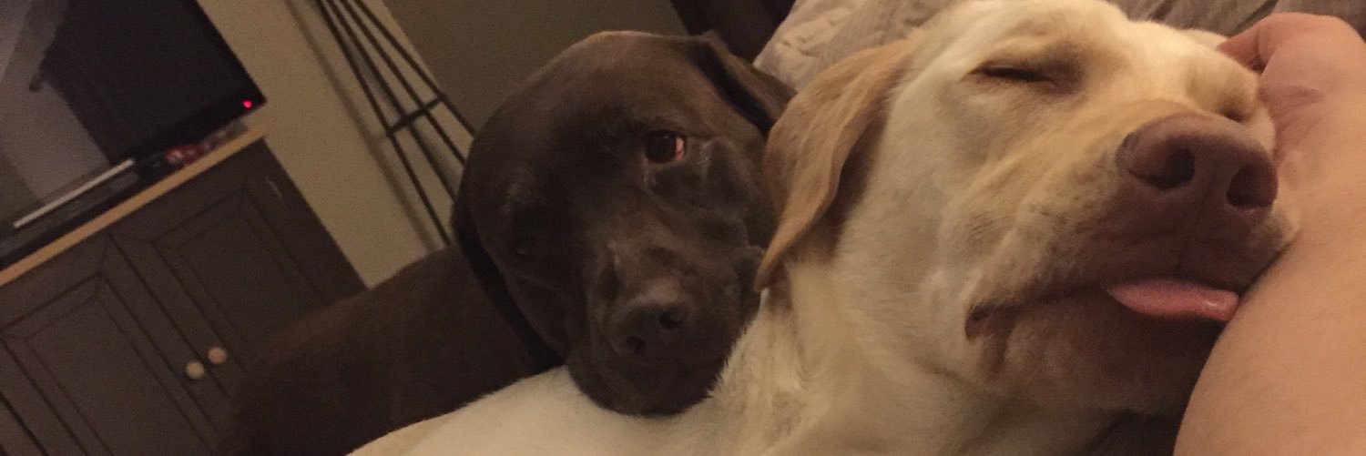 Brooks_Scott88's profile banner image