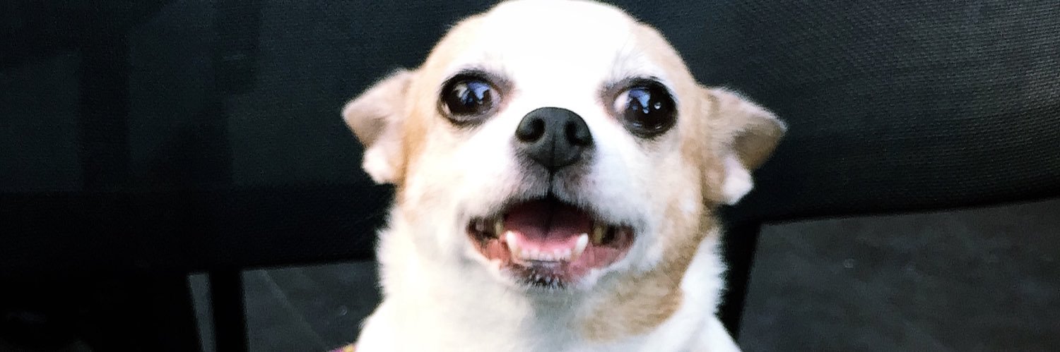 sedasvml's profile banner image