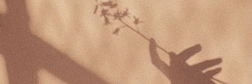 _xmflti's profile banner image