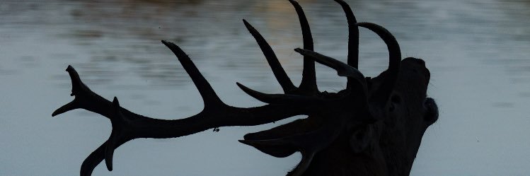QwekuBadu's profile banner image
