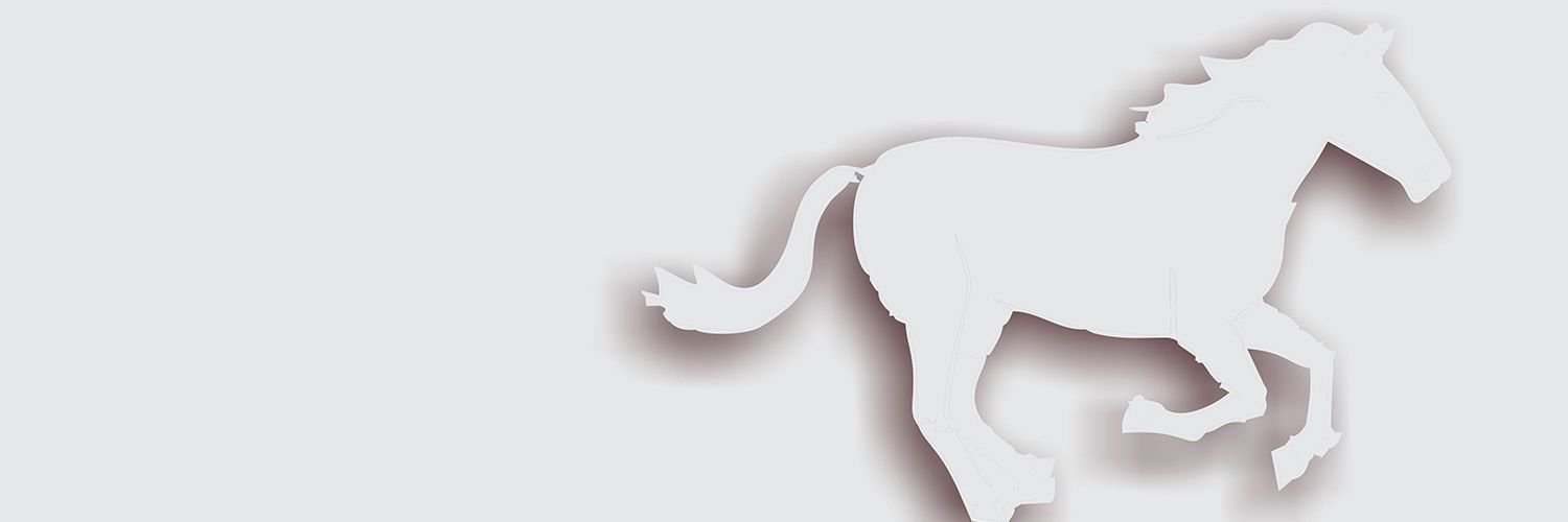 dieguitolindo's profile banner image