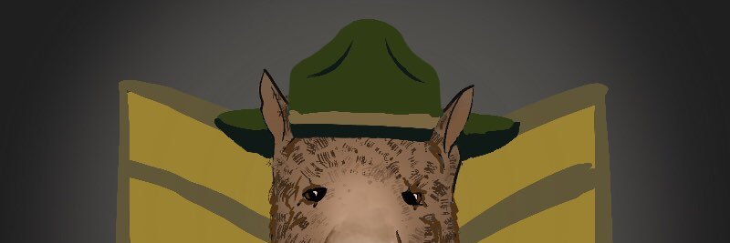 SergeantWombat's profile banner image